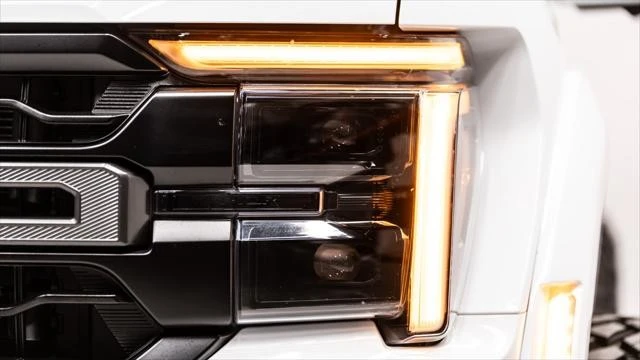 2025 Ford F-150 Raptor 14th Gen - Image 22 of 31