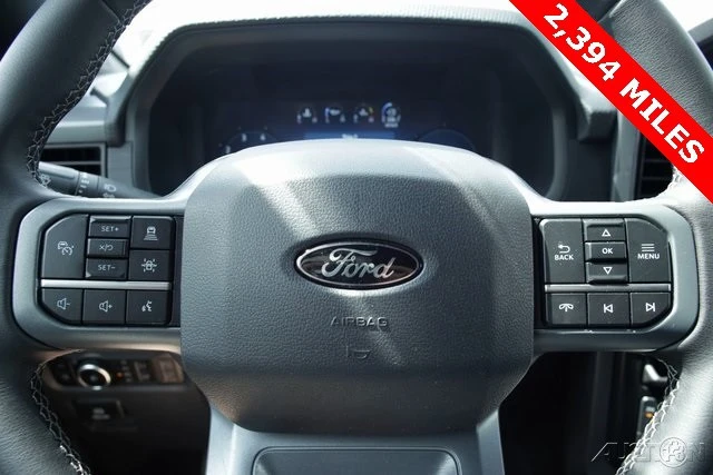 2025 Ford F-150 14th Gen - Image 13 of 19