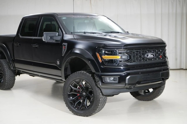 2025 Ford F-150 14th Gen - Image 15 of 21