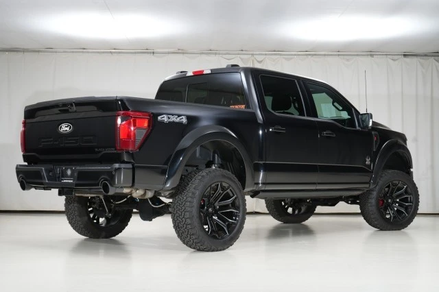 2025 Ford F-150 14th Gen - Image 19 of 21