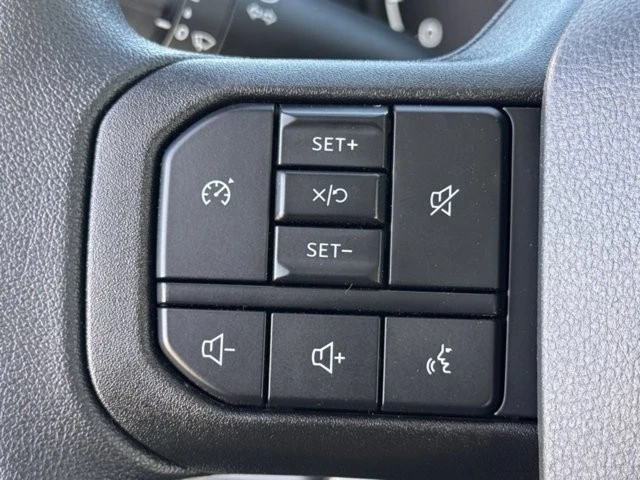 2025 Ford Super Duty 5th Gen - Image 19 of 24