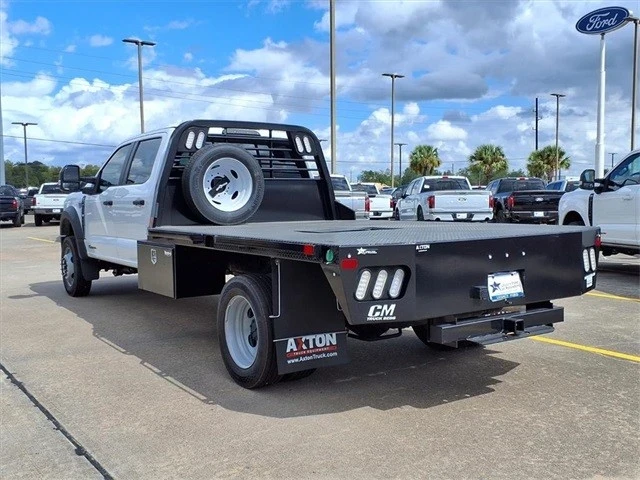 2025 Ford Super Duty 5th Gen - Image 6 of 10