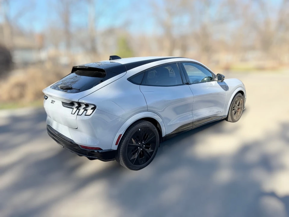 2025 Ford Mustang Mach-E - Image 11 of 21