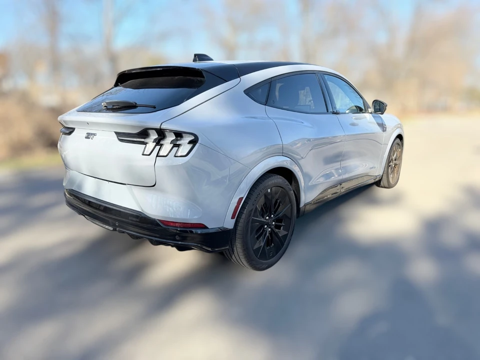 2025 Ford Mustang Mach-E - Image 12 of 21