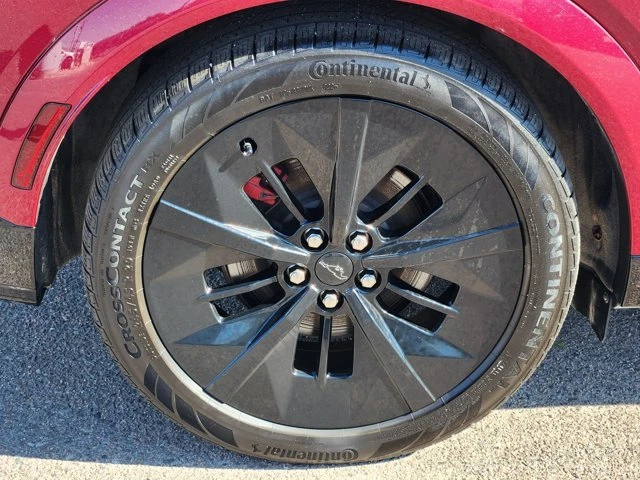 2025 Ford Mustang Mach-E - Image 16 of 19