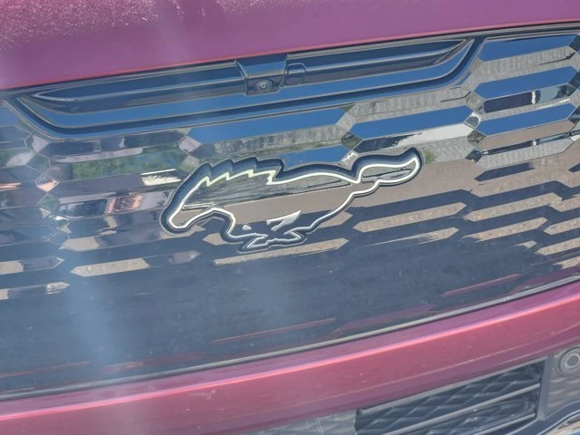 2025 Ford Mustang Mach-E - Image 19 of 19