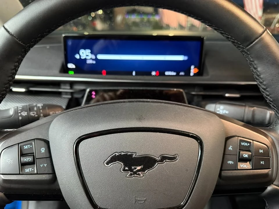 2025 Ford Mustang Mach-E - Image 10 of 20