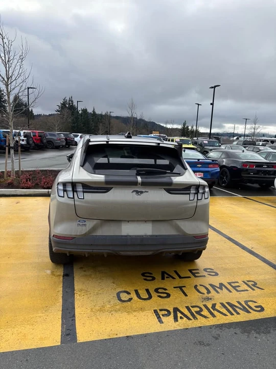 2025 Ford Mustang Mach-E - Image 4 of 7