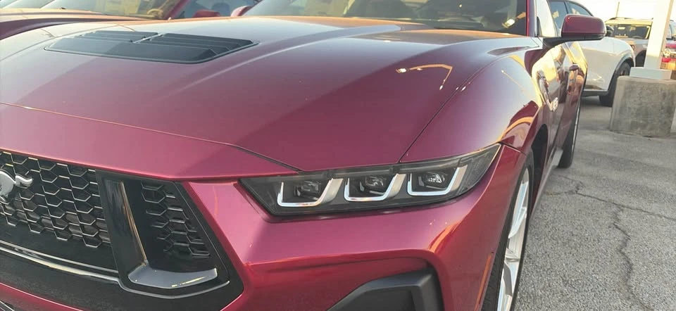 2025 Ford S650 Mustang - Image 3 of 7