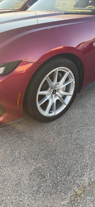 2025 Ford S650 Mustang - Image 2 of 7