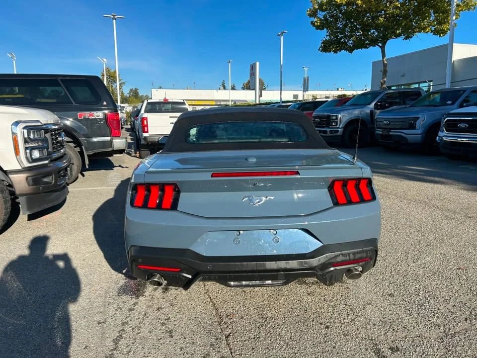 2025 Ford S650 Mustang - Image 4 of 6