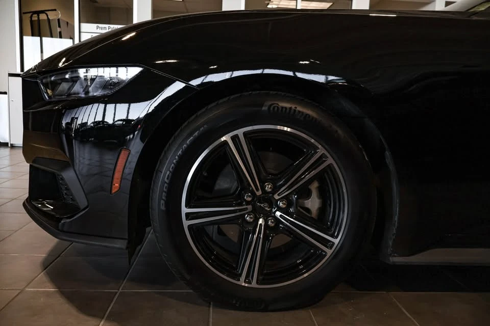 2025 Ford S650 Mustang - Image 7 of 20