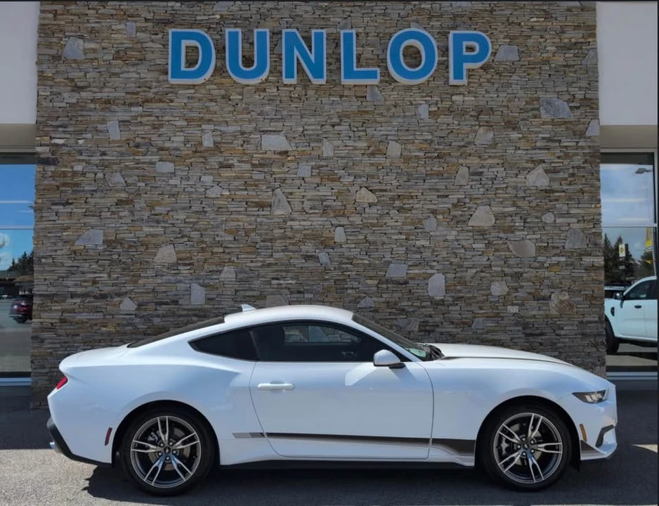 2025 Ford S650 Mustang - Image 3 of 14