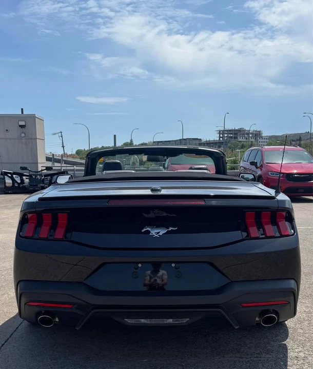 2025 Ford S650 Mustang - Image 5 of 15