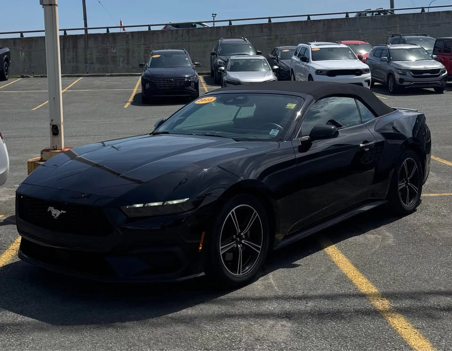 2025 Ford S650 Mustang - Image 3 of 15