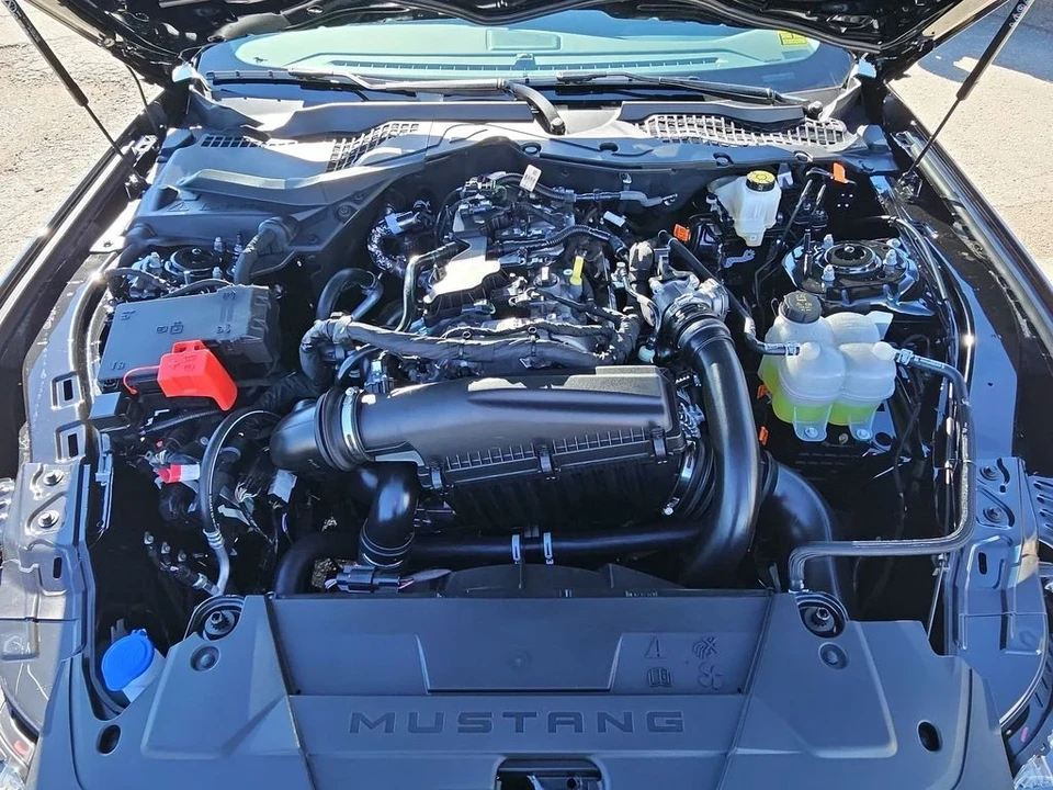 2025 Ford S650 Mustang - Image 20 of 21
