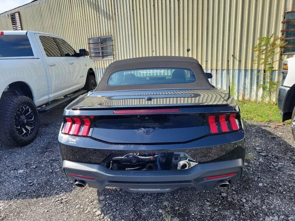 2025 Ford S650 Mustang - Image 5 of 6