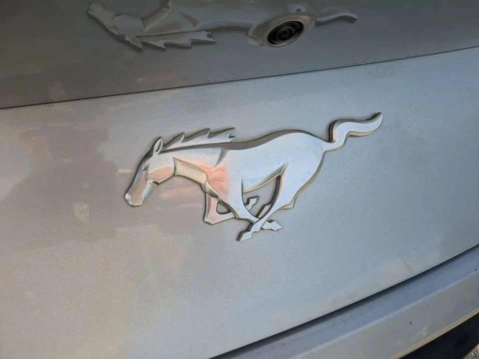 2025 Ford S650 Mustang - Image 5 of 20