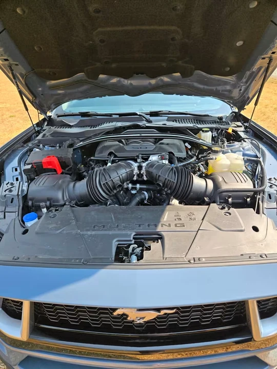 2025 Ford S650 Mustang - Image 5 of 5