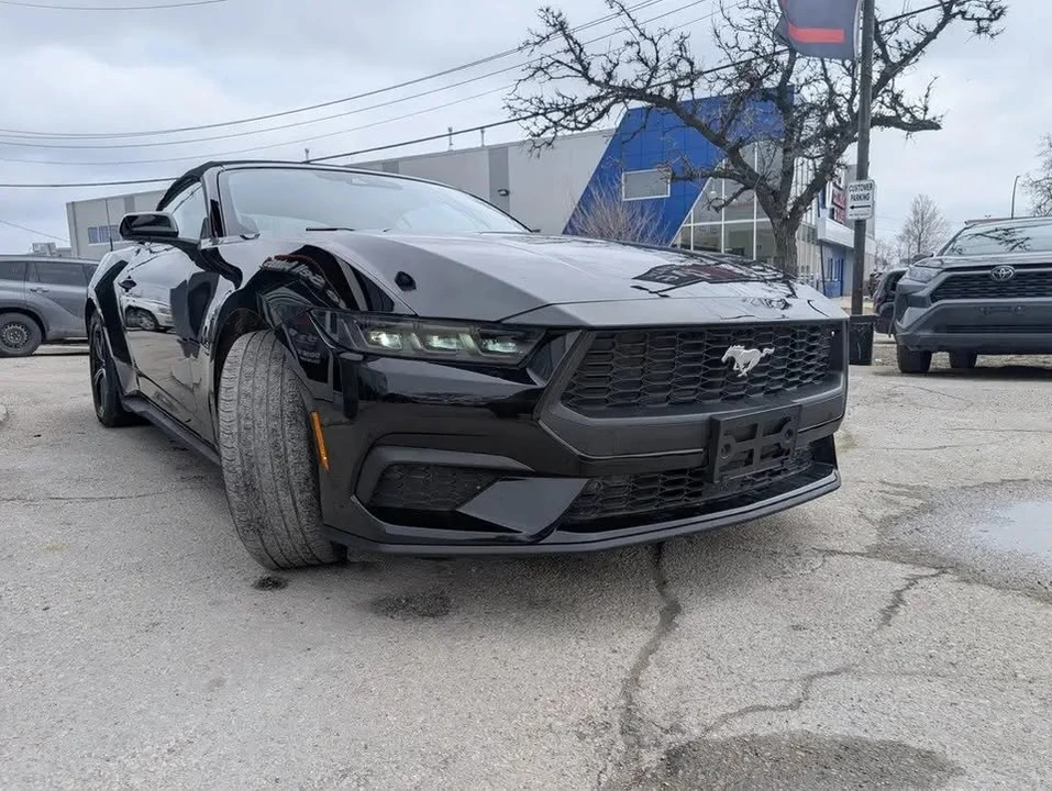2025 Ford S650 Mustang - Image 3 of 13