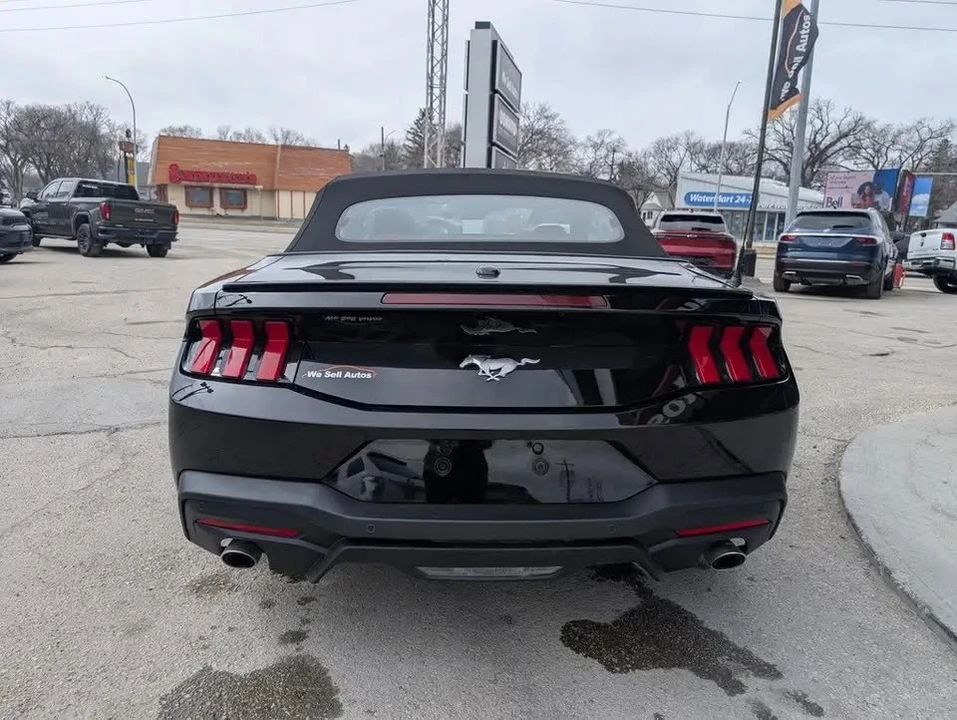 2025 Ford S650 Mustang - Image 6 of 13