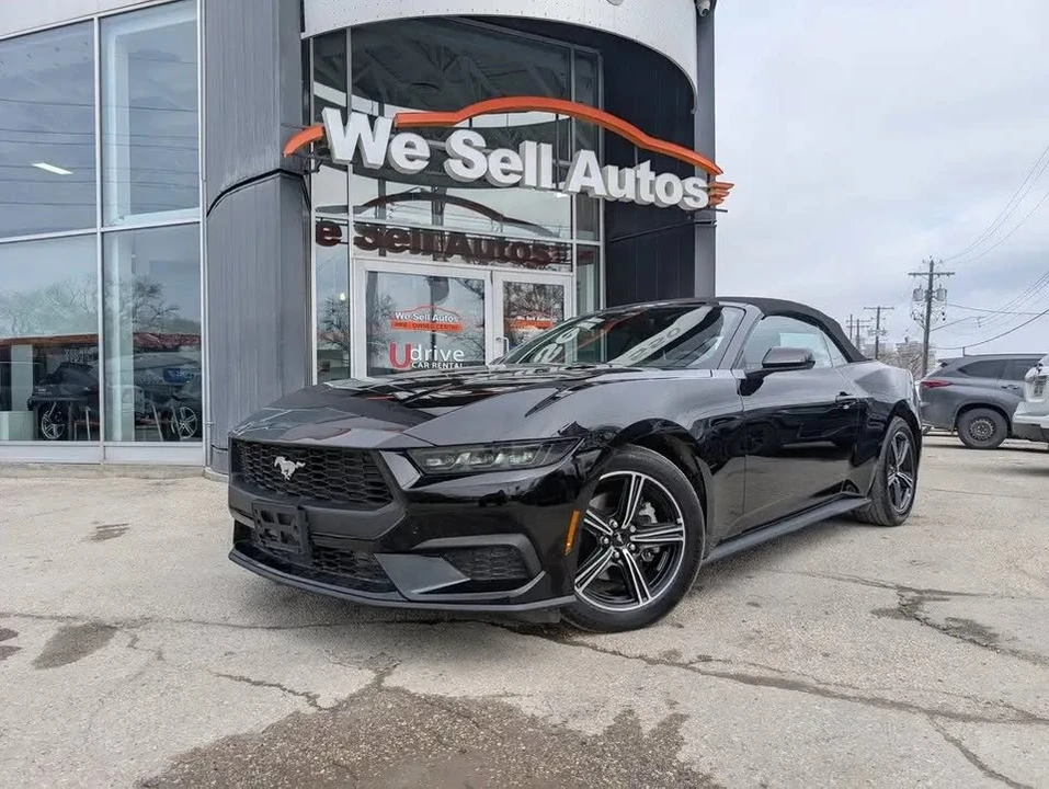 2025 Ford S650 Mustang - Image 2 of 13