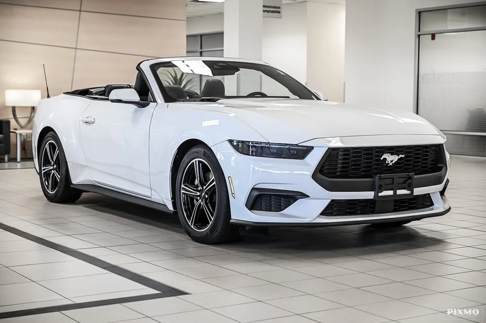 2025 Ford S650 Mustang - Image 2 of 7