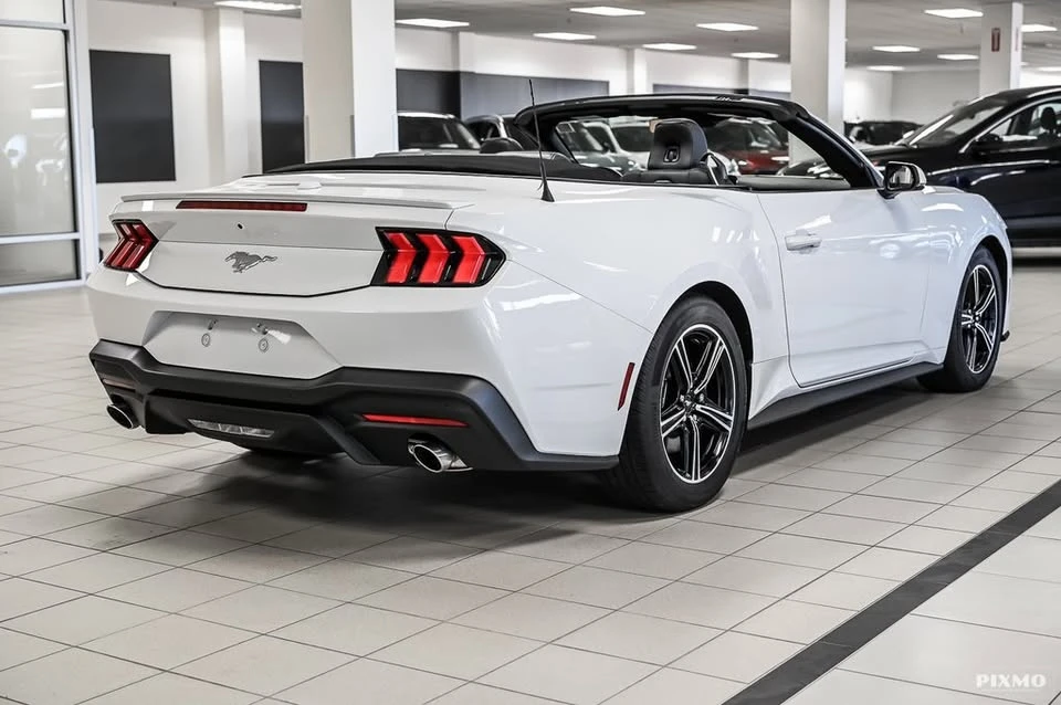 2025 Ford S650 Mustang - Image 3 of 7