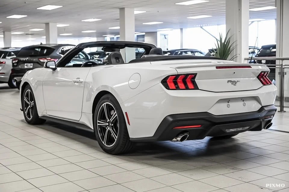 2025 Ford S650 Mustang - Image 4 of 7