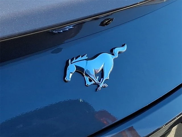 2025 Ford S650 Mustang - Image 14 of 14