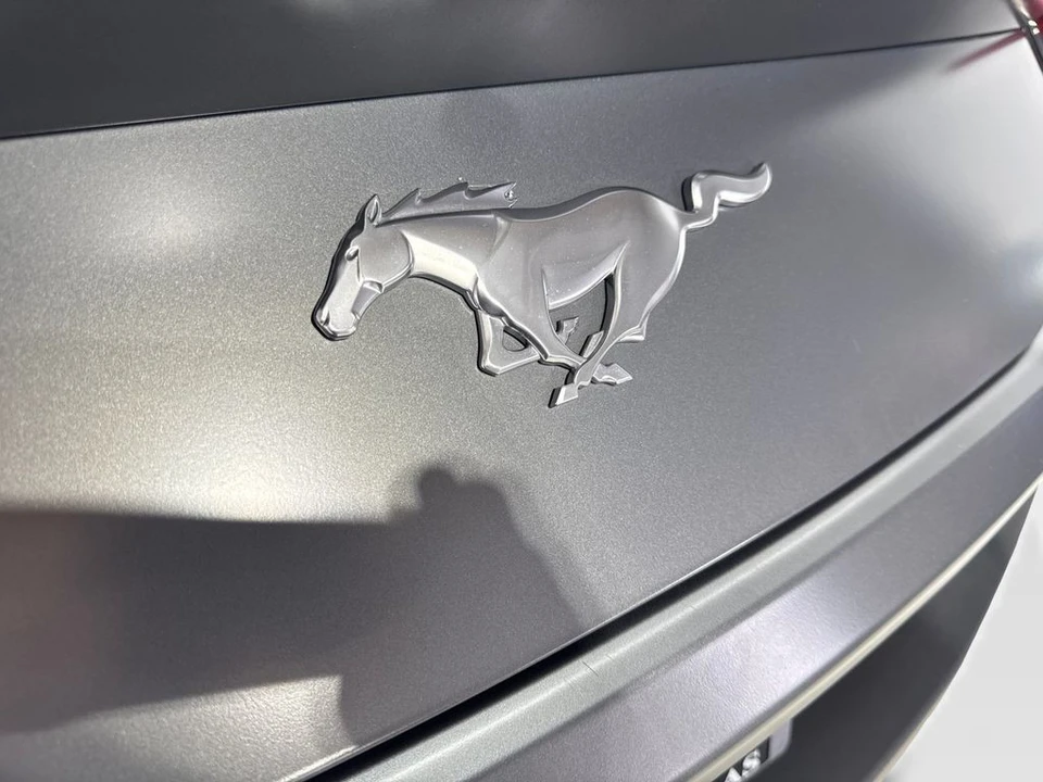 2025 Ford S650 Mustang - Image 21 of 31