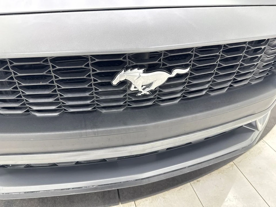 2025 Ford S650 Mustang - Image 24 of 31