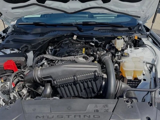 2025 Ford S650 Mustang - Image 29 of 30