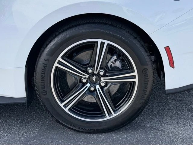 2025 Ford S650 Mustang - Image 11 of 30