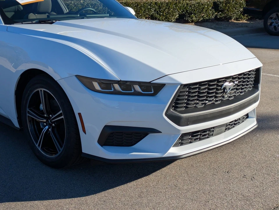 2025 Ford S650 Mustang - Image 10 of 21