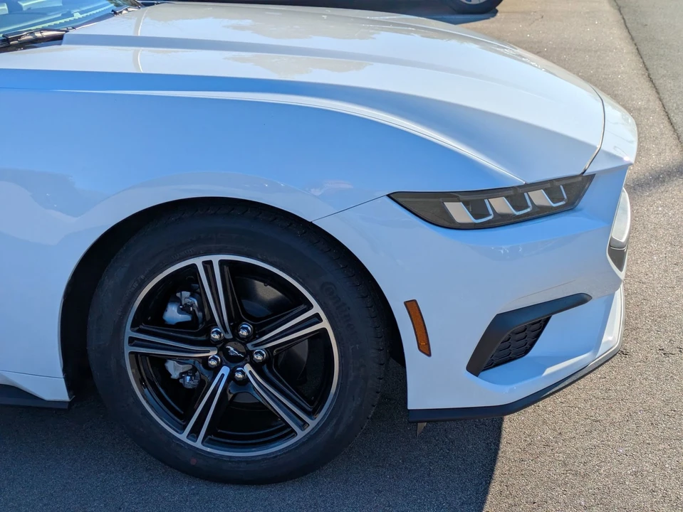 2025 Ford S650 Mustang - Image 11 of 21
