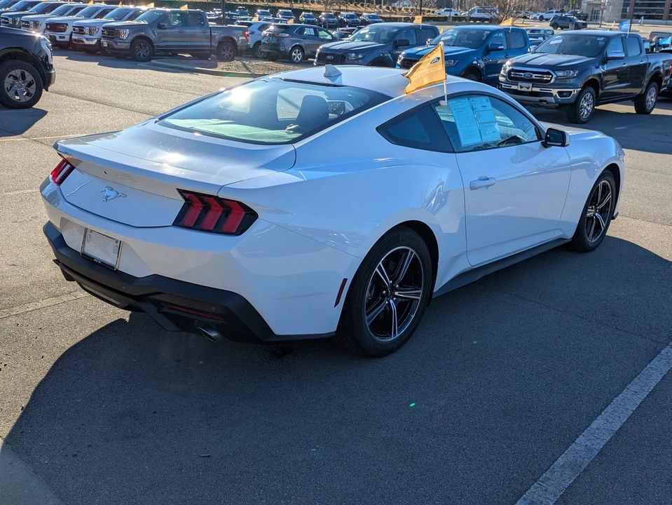 2025 Ford S650 Mustang - Image 4 of 21