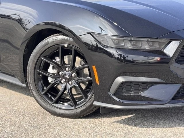 2025 Ford S650 Mustang - Image 4 of 12