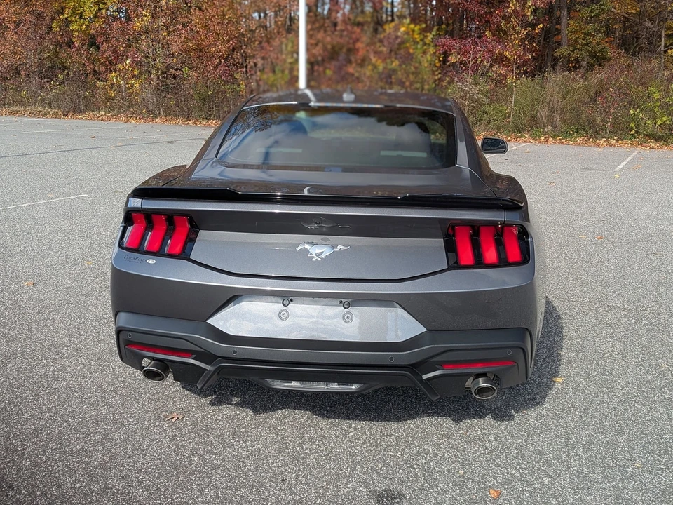 2025 Ford S650 Mustang - Image 5 of 12