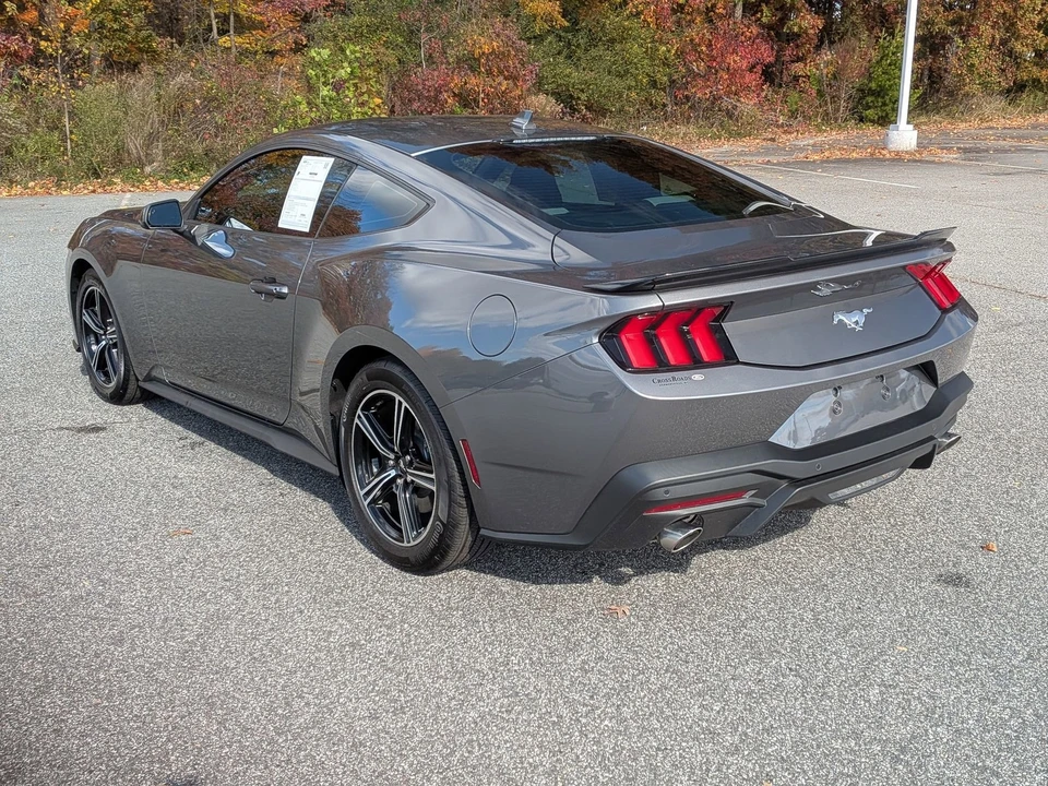 2025 Ford S650 Mustang - Image 6 of 12