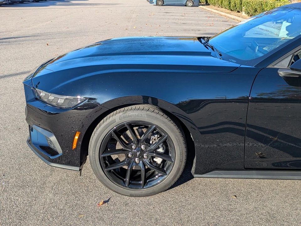2025 Ford S650 Mustang - Image 10 of 12