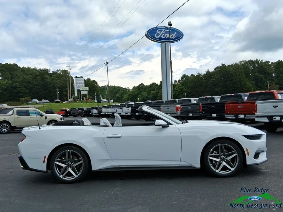 2025 Ford S650 Mustang - Image 18 of 21