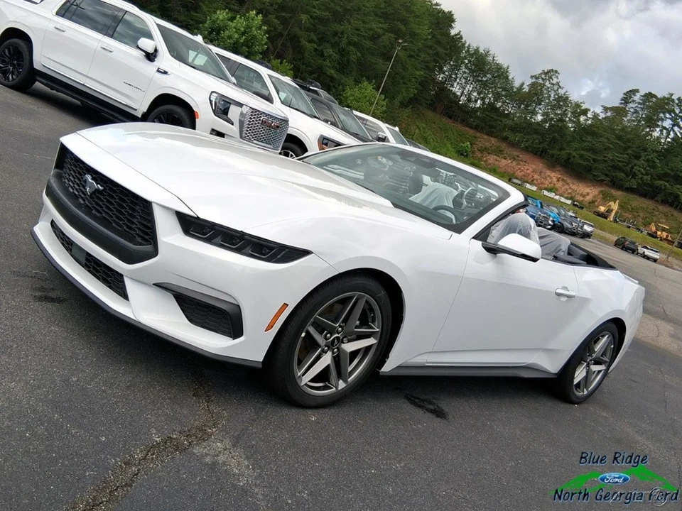 2025 Ford S650 Mustang - Image 21 of 21