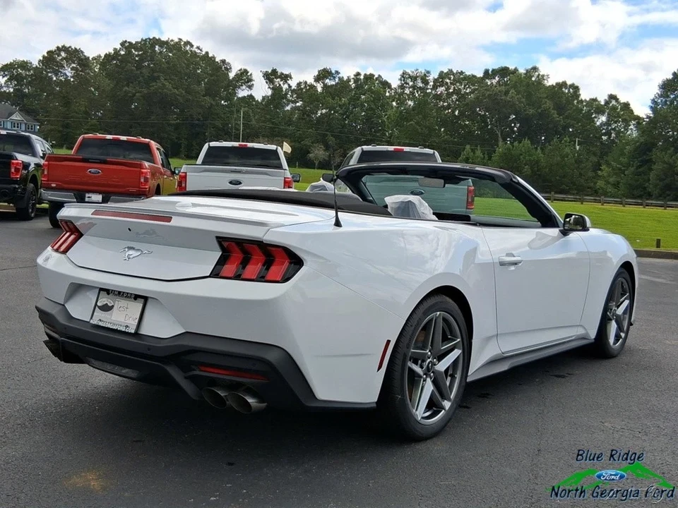 2025 Ford S650 Mustang - Image 3 of 21