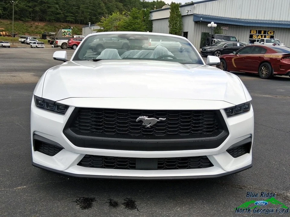 2025 Ford S650 Mustang - Image 20 of 21