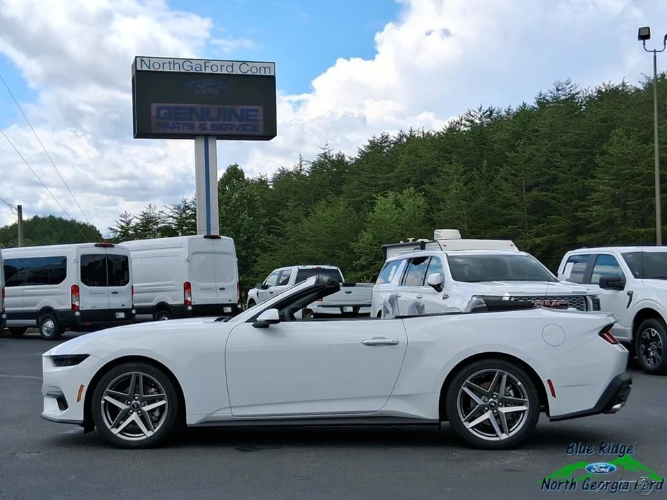 2025 Ford S650 Mustang - Image 13 of 21