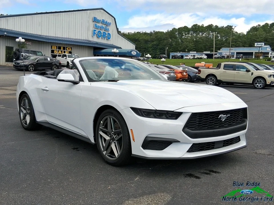 2025 Ford S650 Mustang - Image 4 of 21