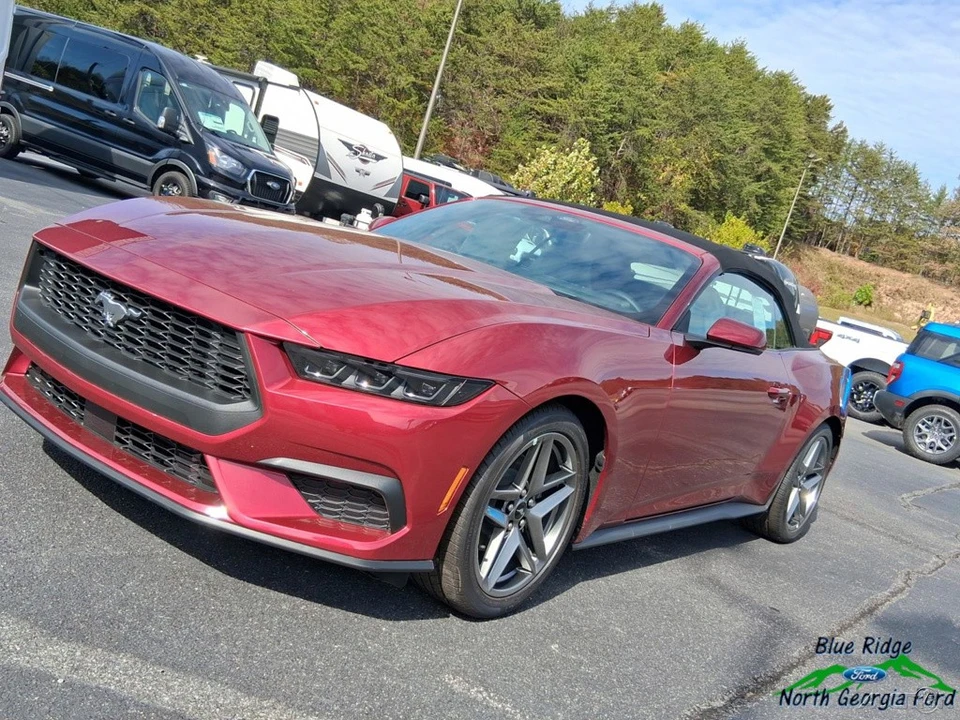 2025 Ford S650 Mustang - Image 23 of 24