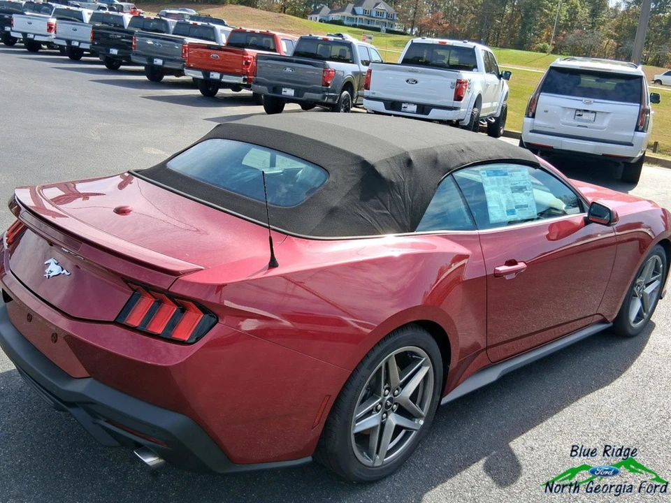 2025 Ford S650 Mustang - Image 21 of 24