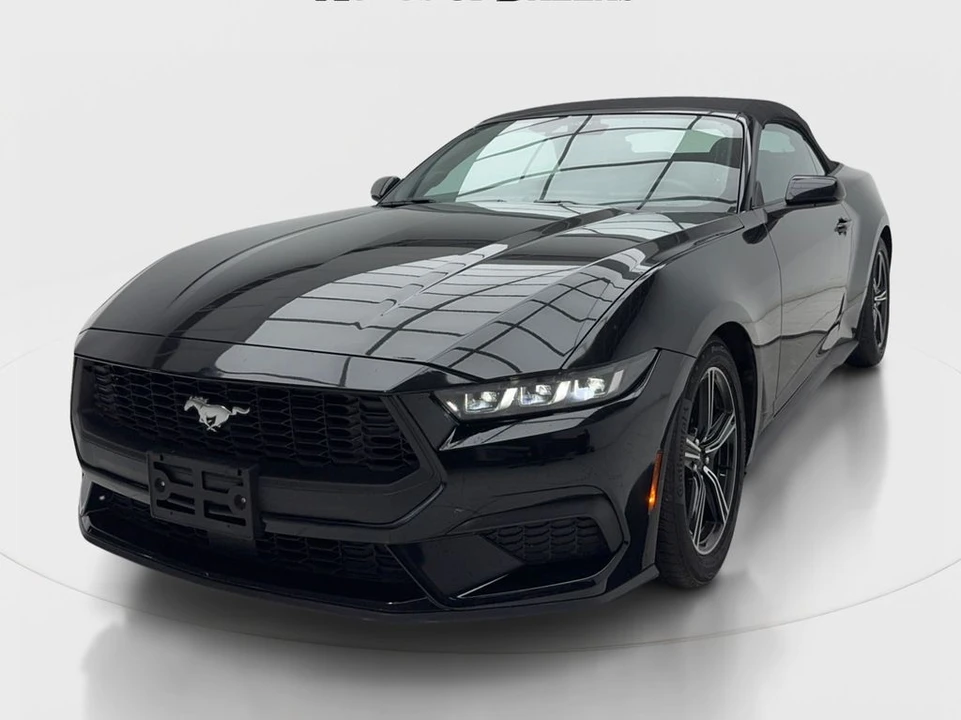 2025 Ford S650 Mustang - Image 4 of 31